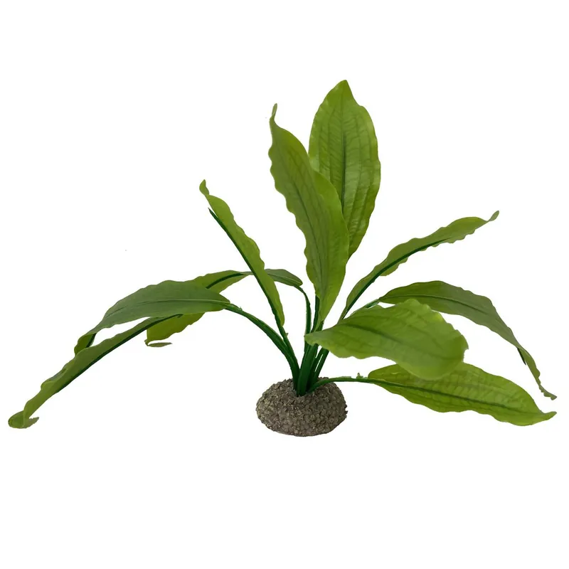 Preisreduziert AQUA DELLA Echinodorus 2 grün 24 cm